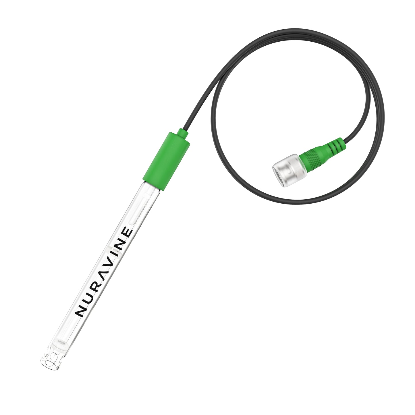 Sensor: ORP