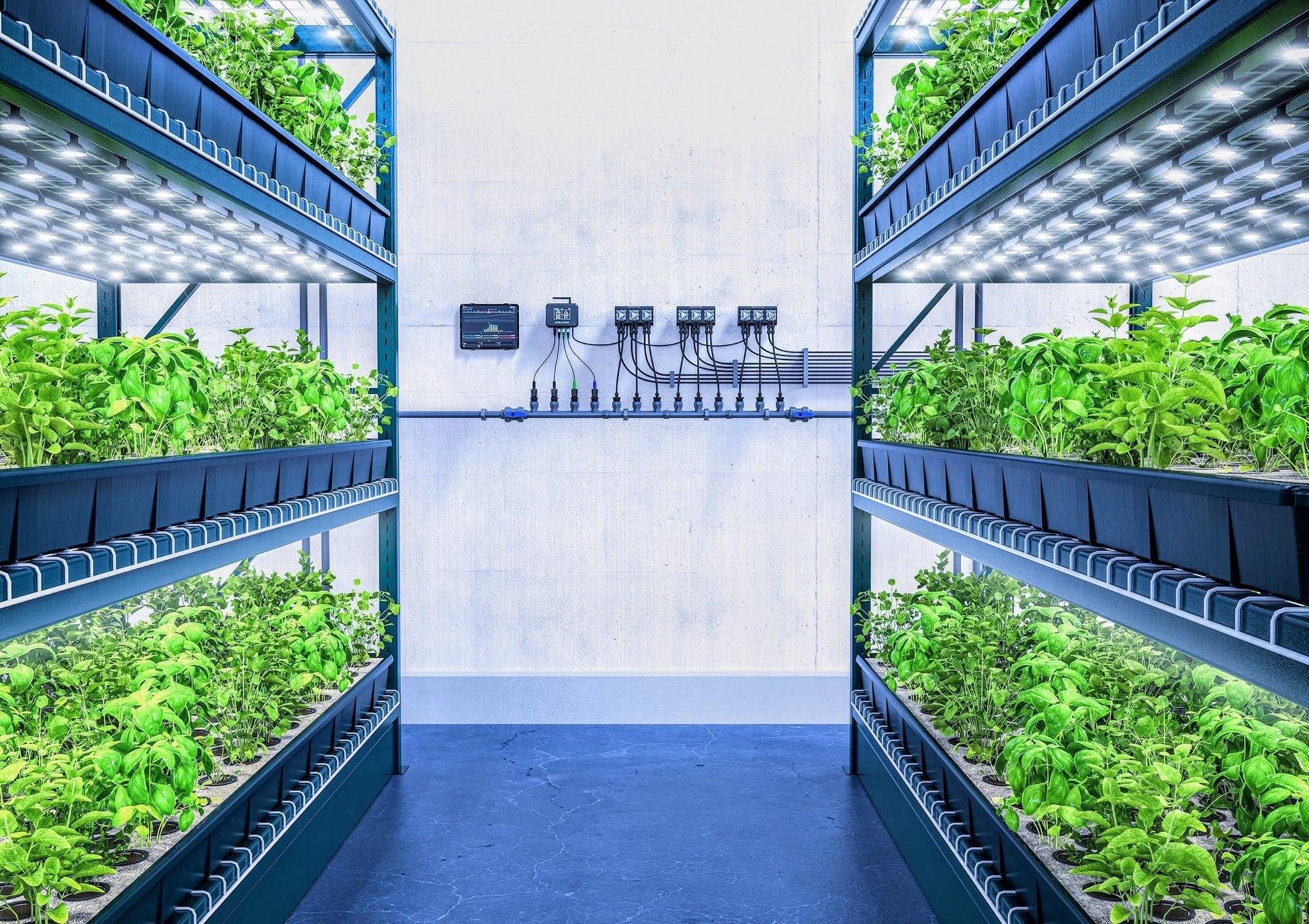 Nuravine recirculating hydroponics system